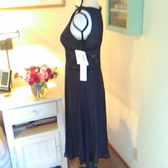 NWT D. J. Summers Lace and Sheer Evening Dress - Picture 4 of 10
